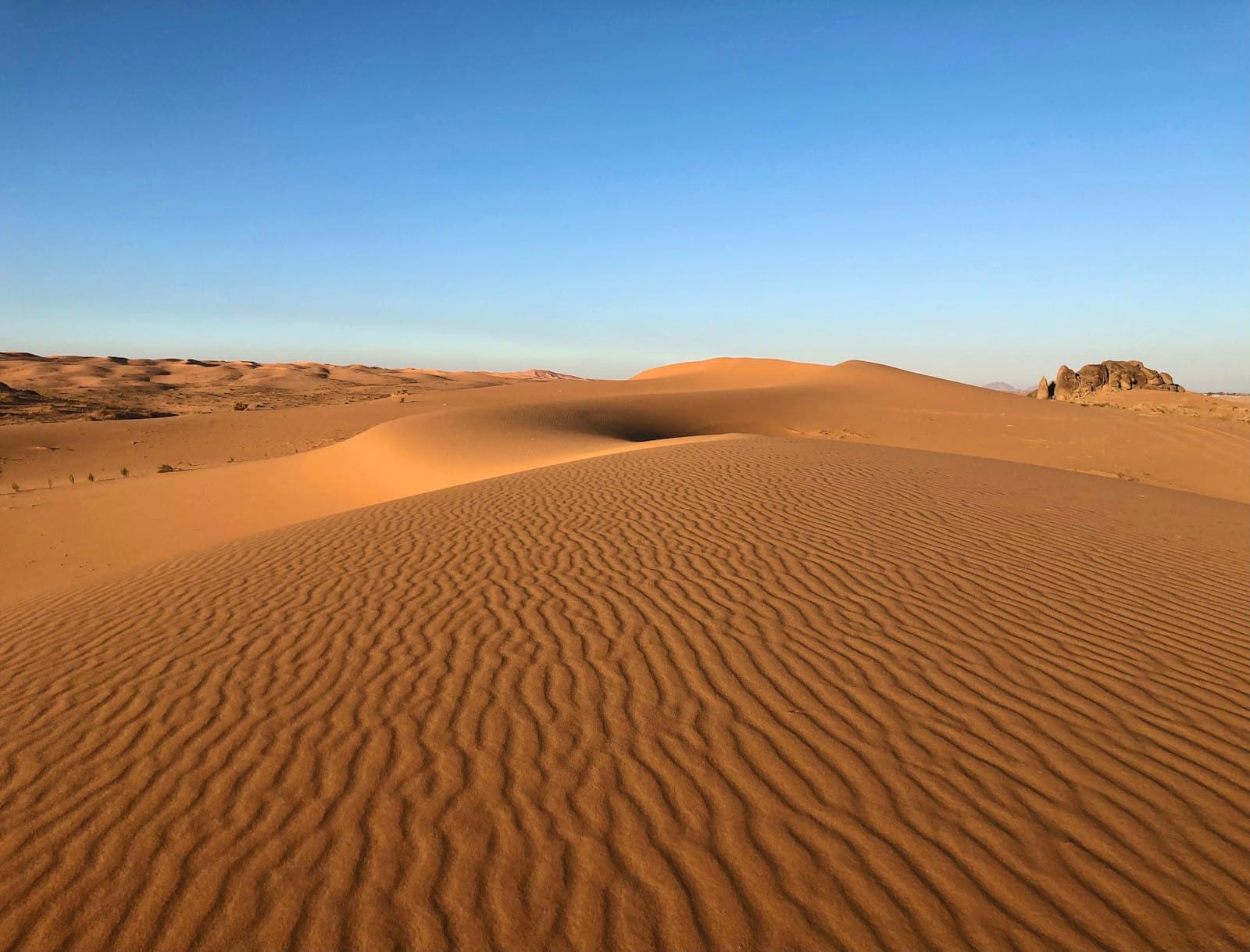 Best Desert Safari Dubai: The Complete Guide (2026)